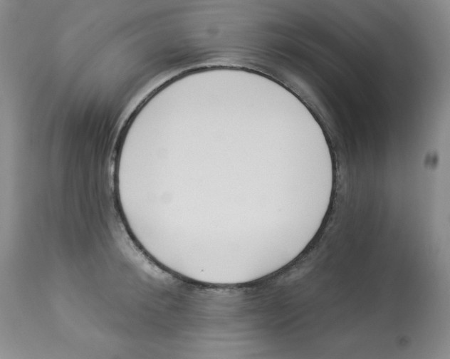 X0000113940900200910231941