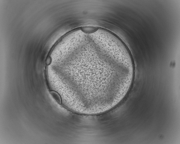 X0000113940901200910231941