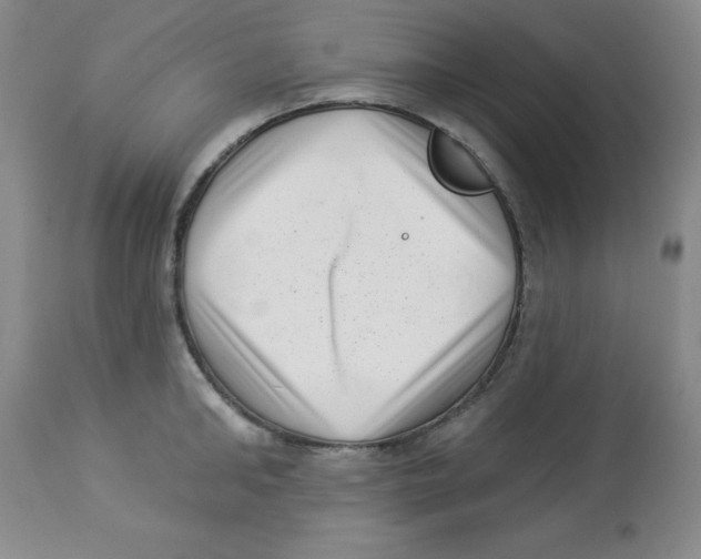 X0000113940902200910231941