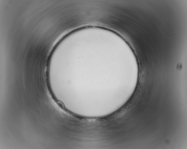 X0000113940903200910231941