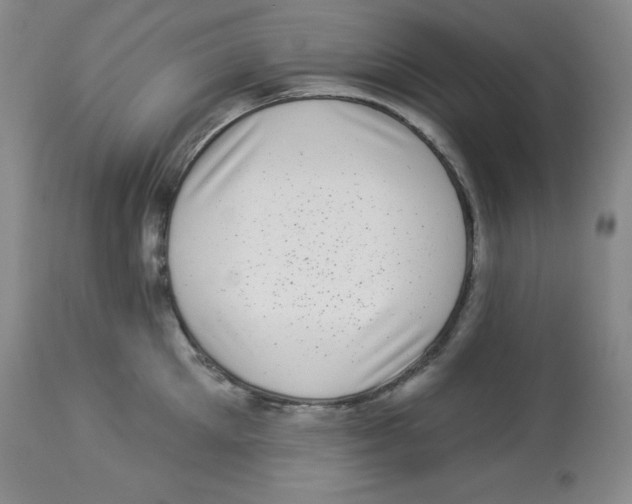 X0000113940905200910231941