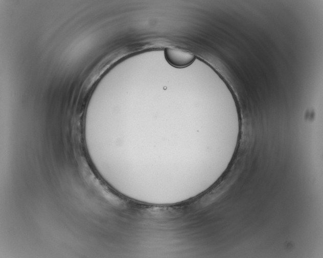 X0000113940906200910231941
