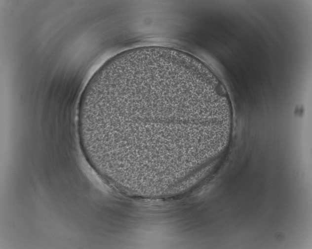 X0000113940907200910231941