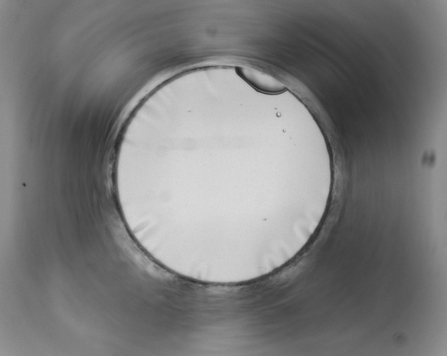 X0000113940908200910231941