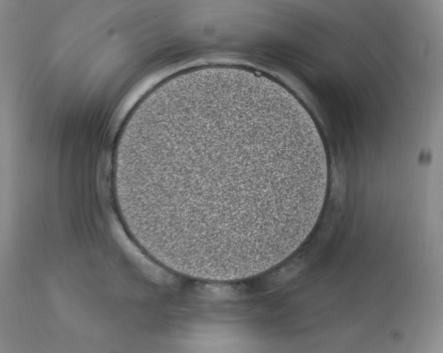 X0000113940911200910231941