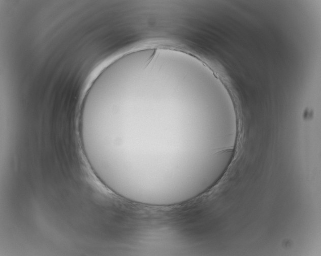X0000113940912200910231941