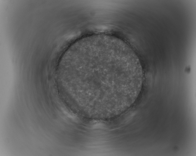 X0000113940913200910231940