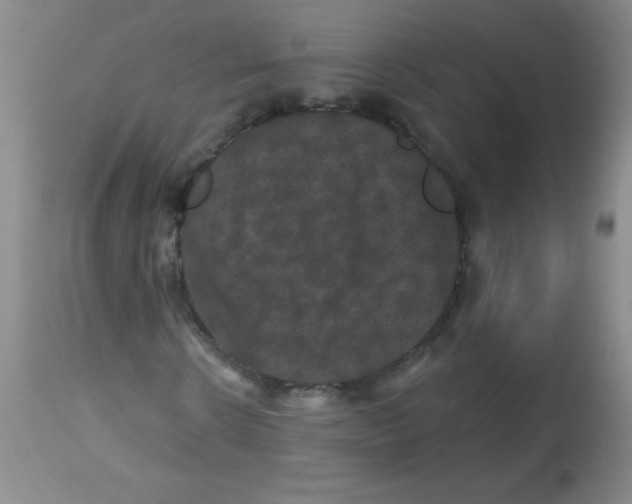 X0000113940914200910231940