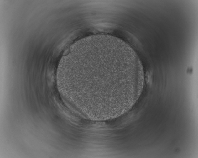 X0000113940915200910231940