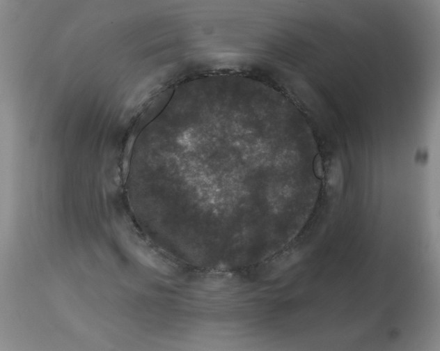 X0000113940916200910231940