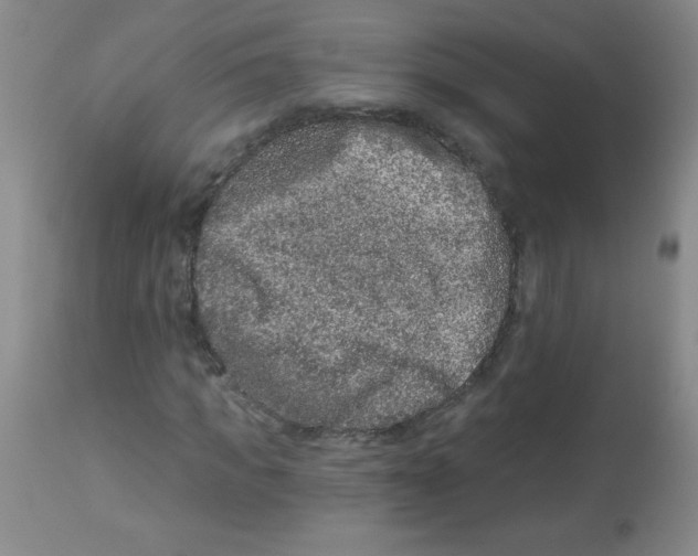 X0000113940917200910231940