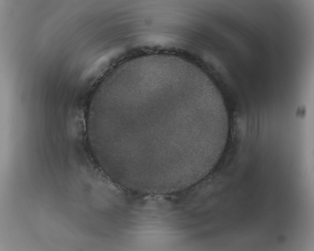 X0000113940918200910231940