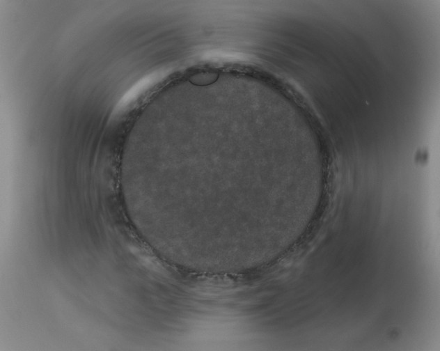 X0000113940919200910231940