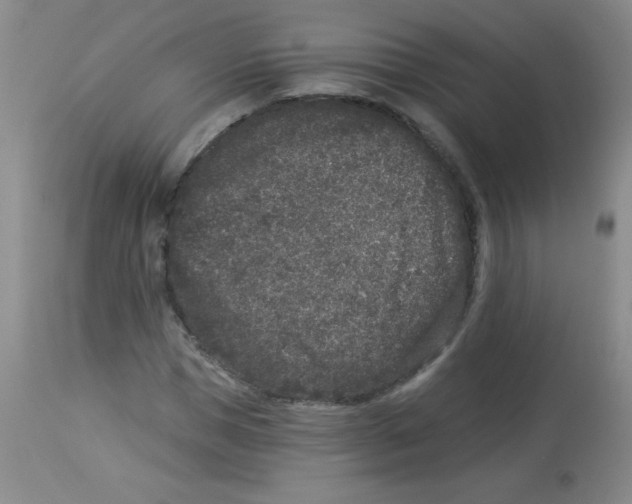 X0000113940921200910231940