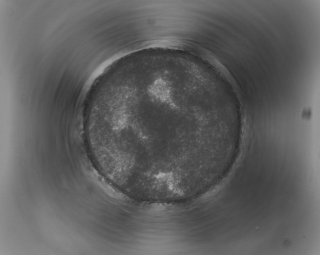X0000113940923200910231940
