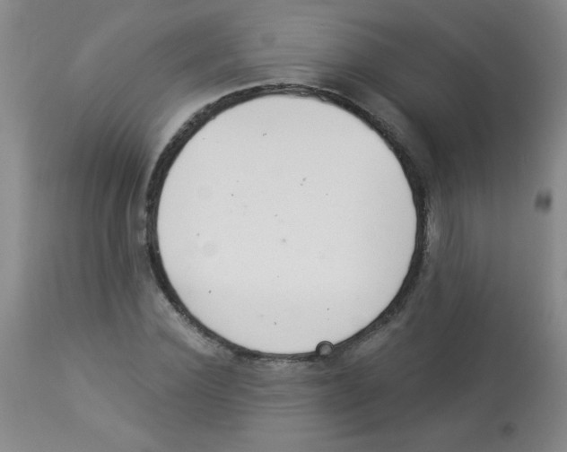 X0000113940924200910231940