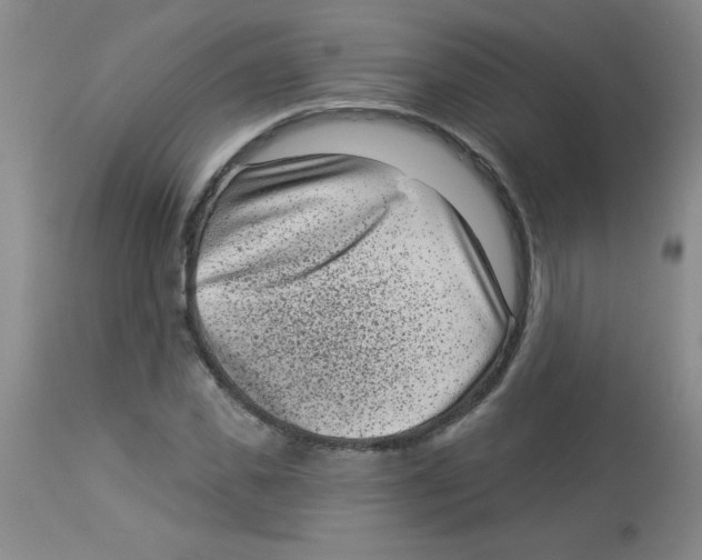 X0000113940925200910231940