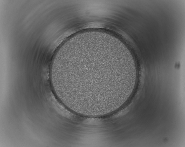 X0000113940929200910231941