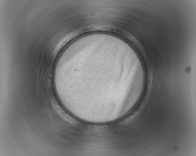 X0000113940930200910231941