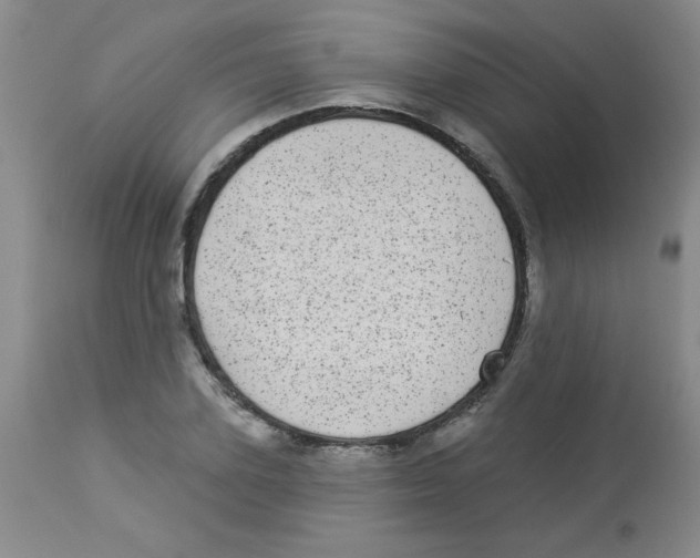 X0000113940931200910231941