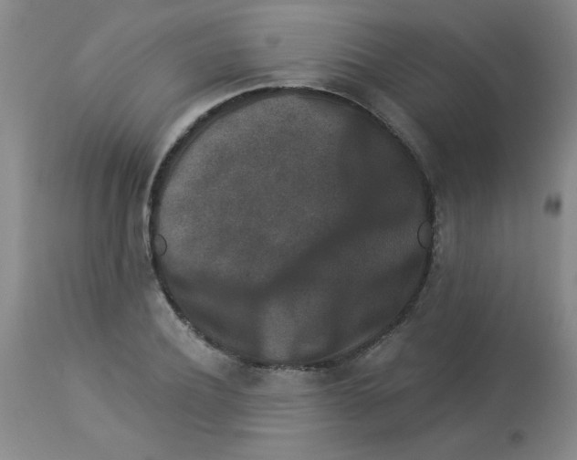 X0000113940932200910231941