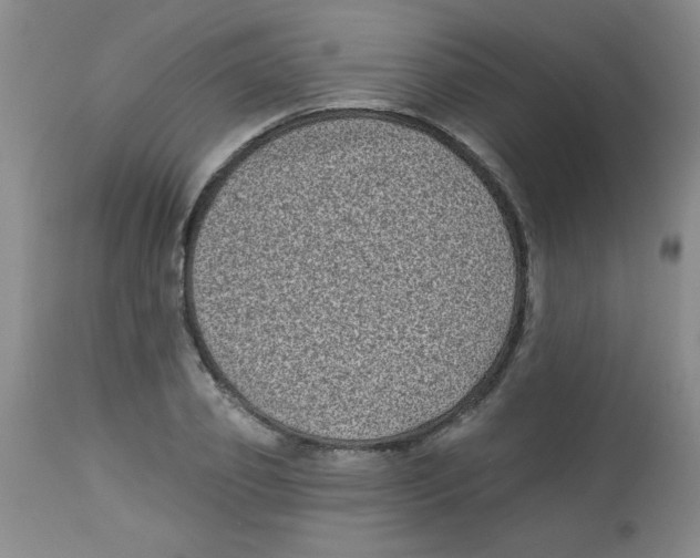 X0000113940933200910231941