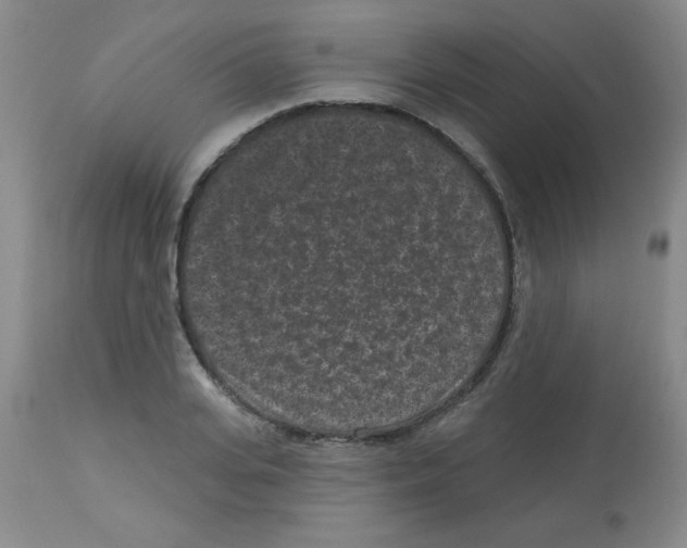 X0000113940935200910231941