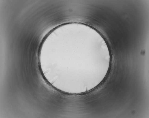 X0000113940936200910231941
