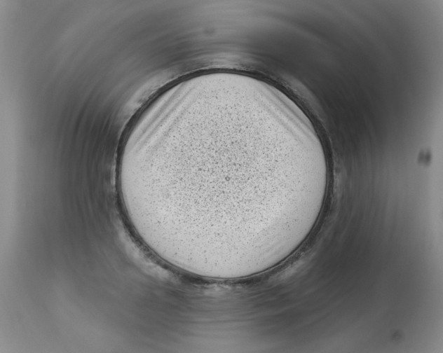 X0000113940938200910231941