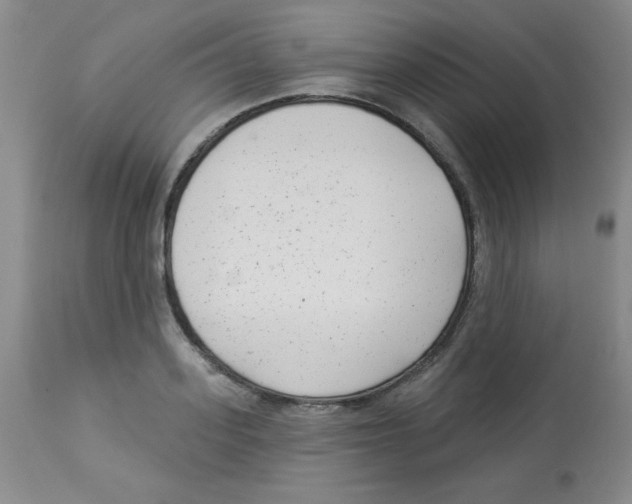 X0000113940939200910231941