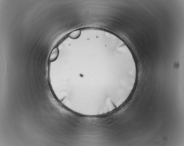 X0000113940940200910231941