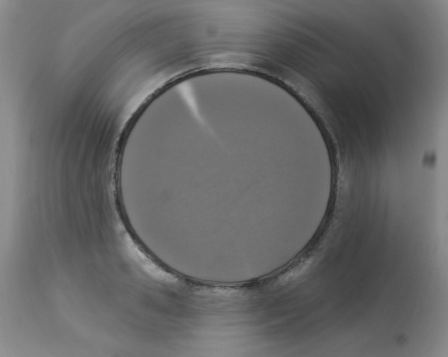 X0000113940941200910231941