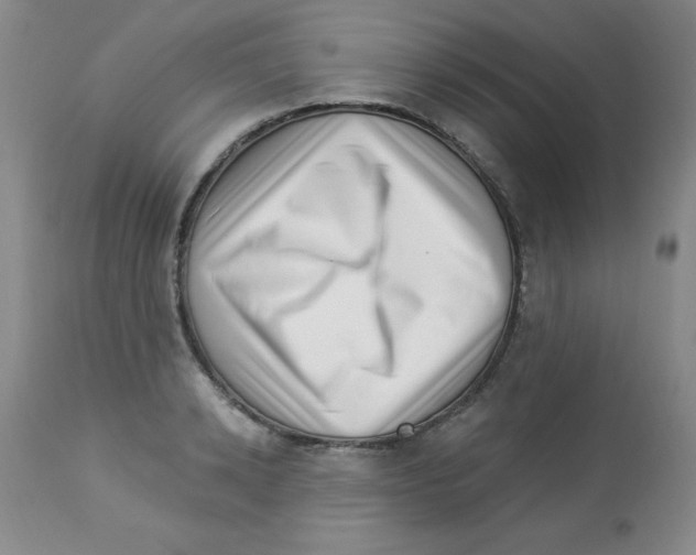 X0000113940942200910231941