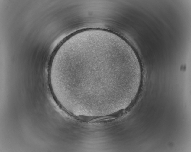 X0000113940944200910231941