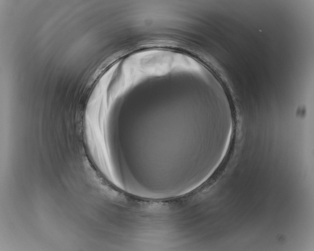 X0000113940945200910231941