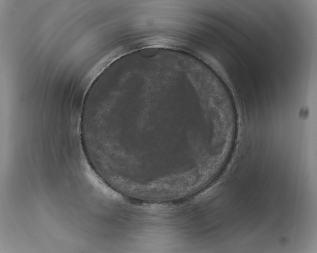 X0000113940946200910231941