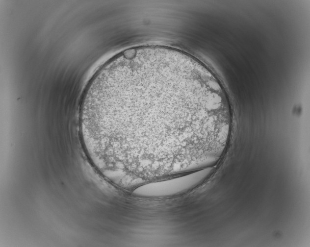 X0000113940948200910231941