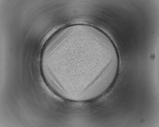 X0000113940949200910231941