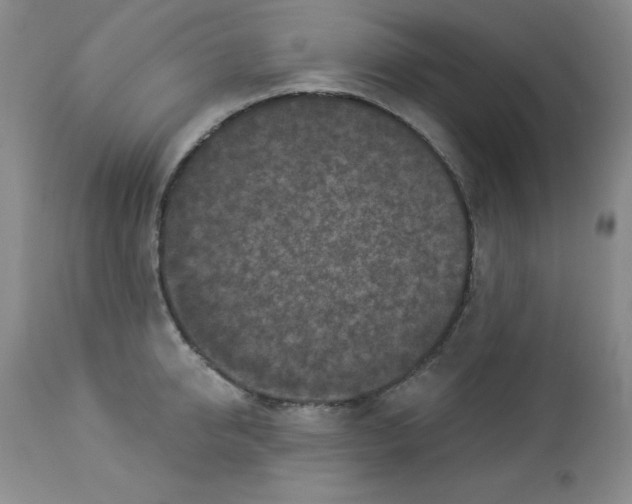 X0000113940950200910231941