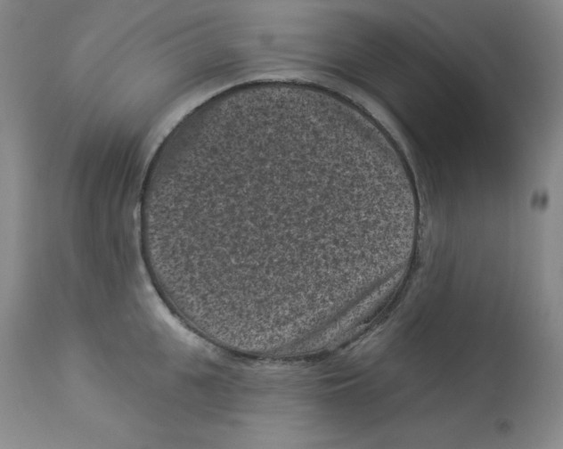 X0000113940951200910231941