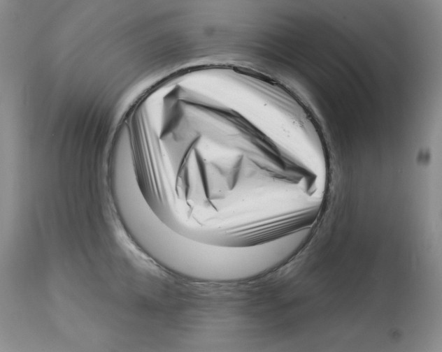 X0000113940952200910231941