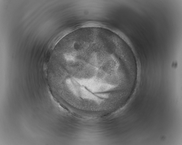 X0000113940953200910231941