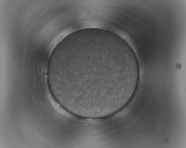 X0000113940954200910231941