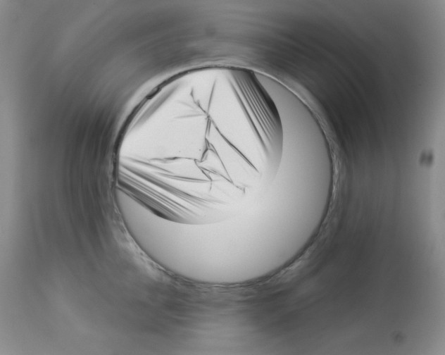 X0000113940956200910231941