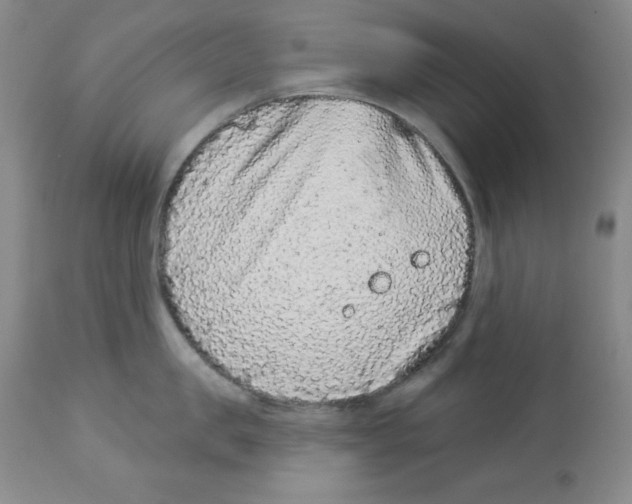 X0000113940957200910231941