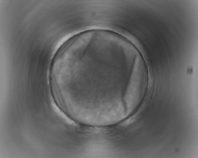 X0000113940958200910231941