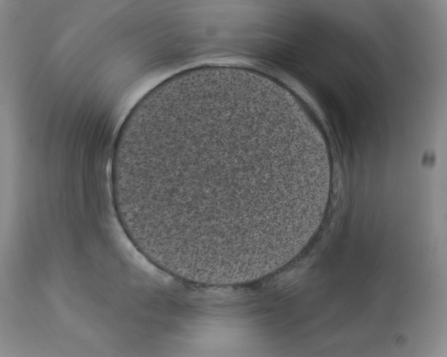 X0000113940959200910231941