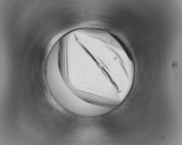 X0000113940960200910231941