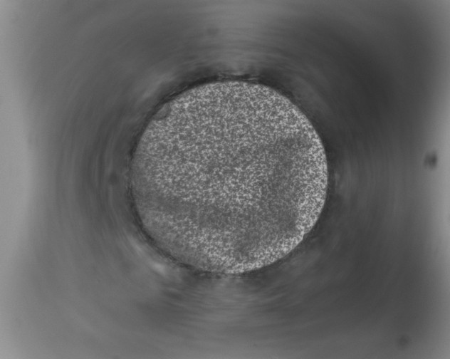 X0000113940961200910231940