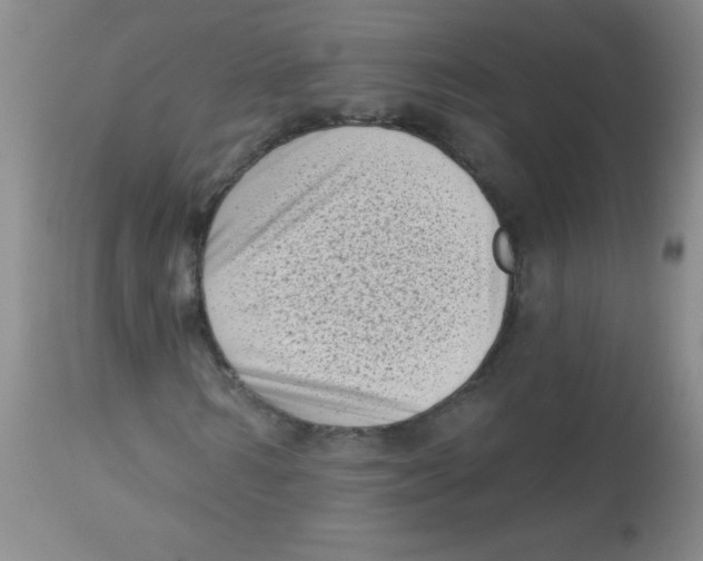 X0000113940962200910231940